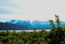 Photo of Chilkat Mountain Range from Glacier Point
